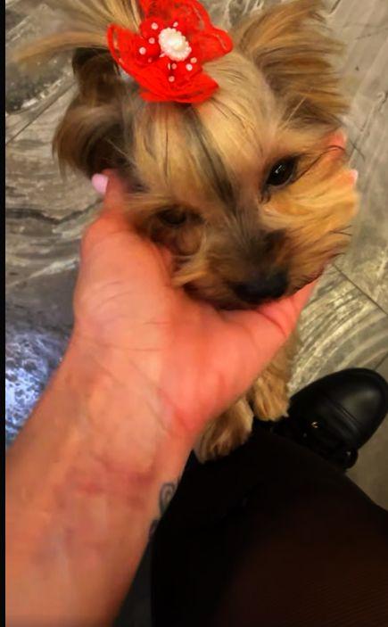 Светлана синини