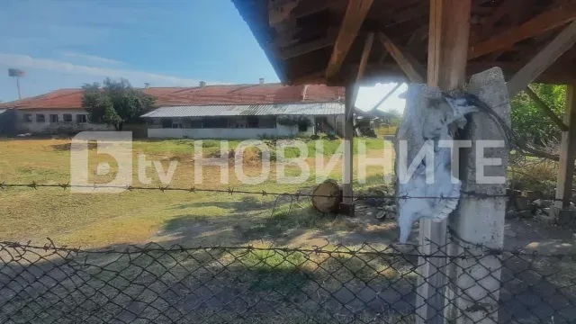 овчарник тяло