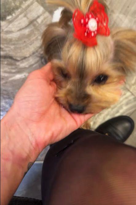 Светлана синини ръце