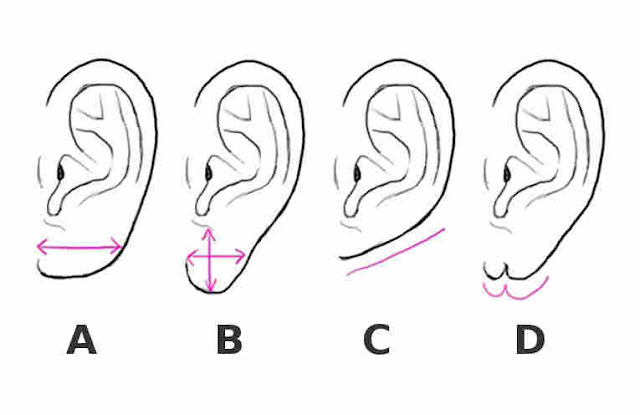форма уши