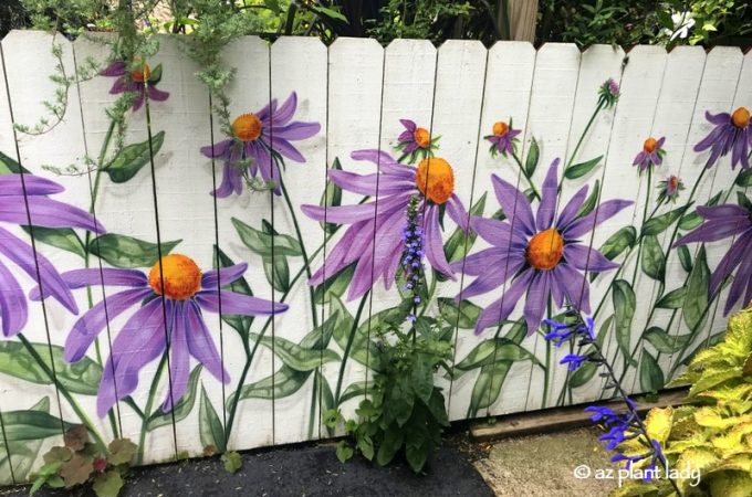 ограда на цветя