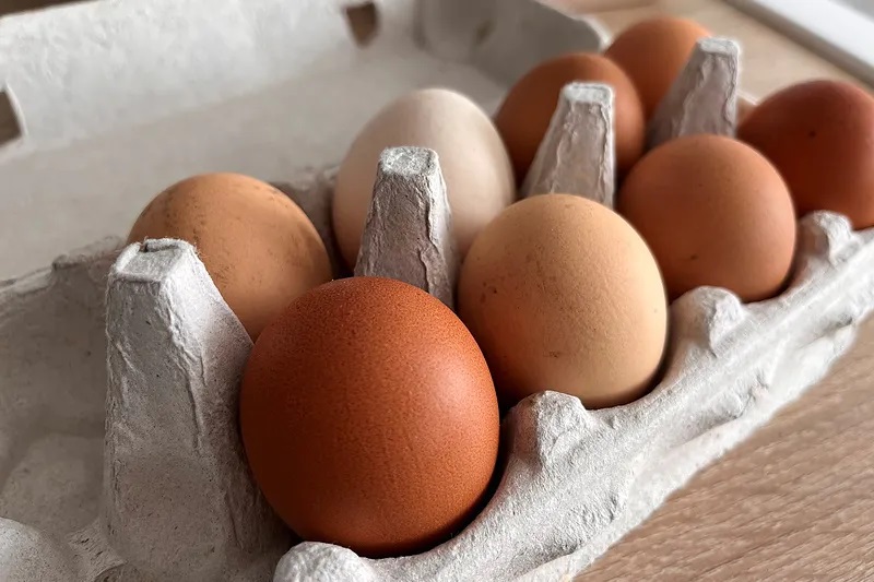  предпазване яйца 