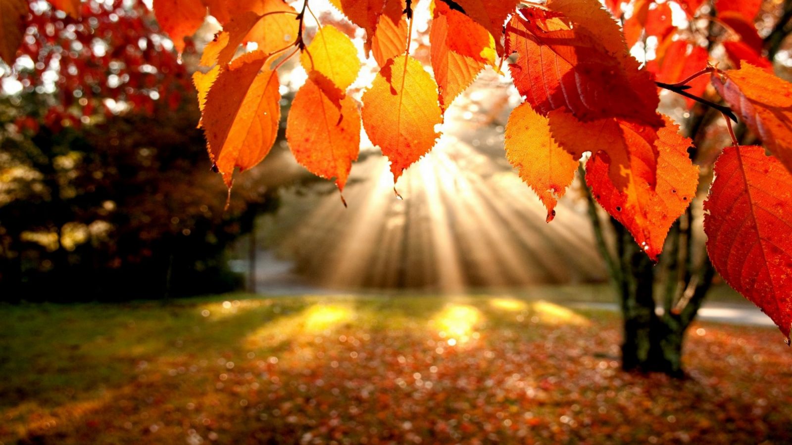 красива есен