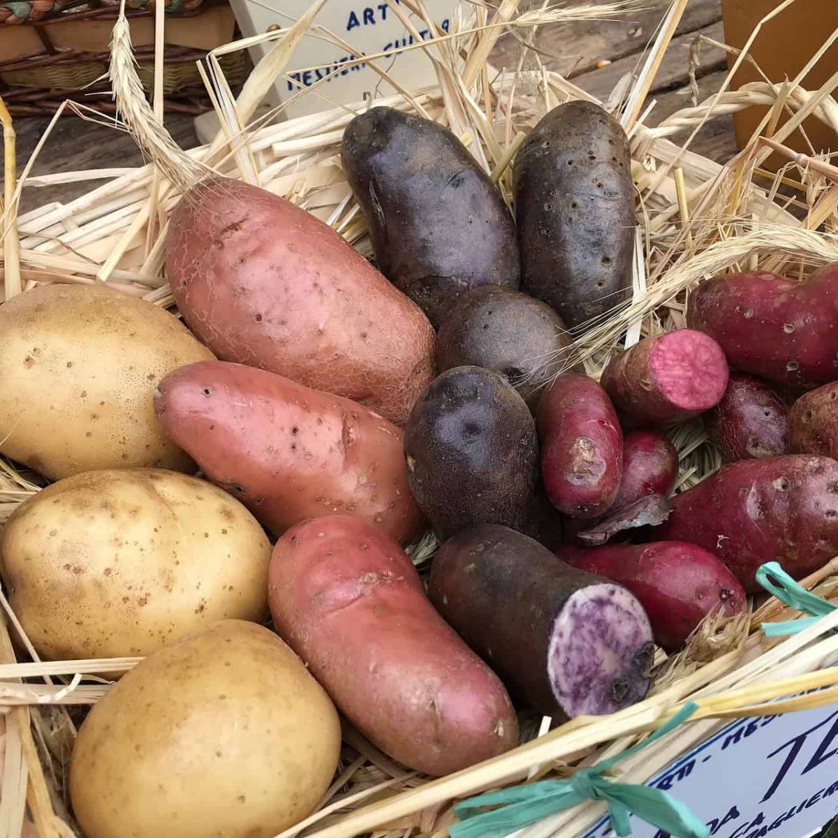 видове картофи