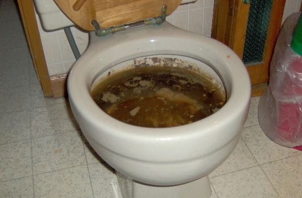 запушена тоалетна