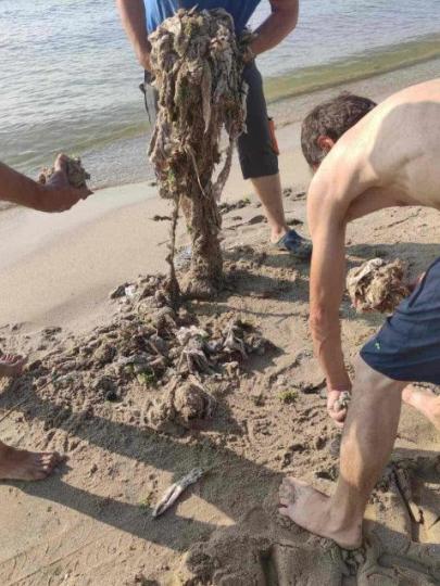  отпадъци море 