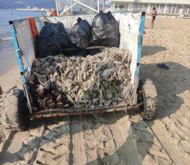 боклуци от плажа