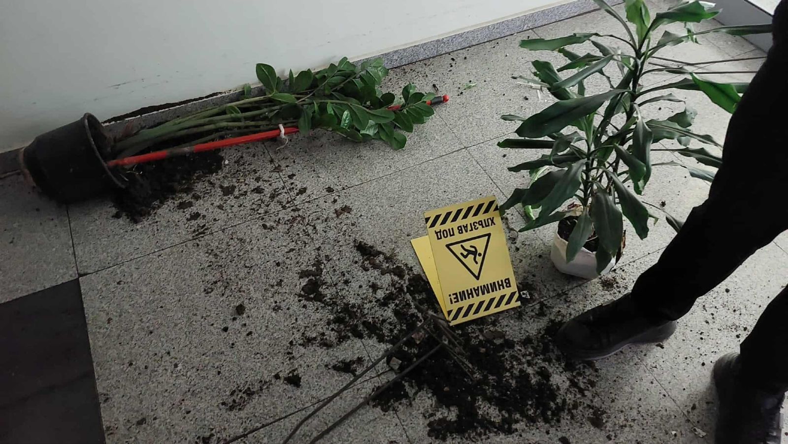 Русе протест