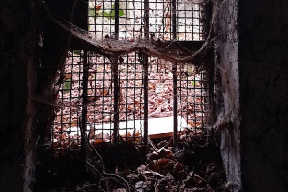 бункер Лозенец