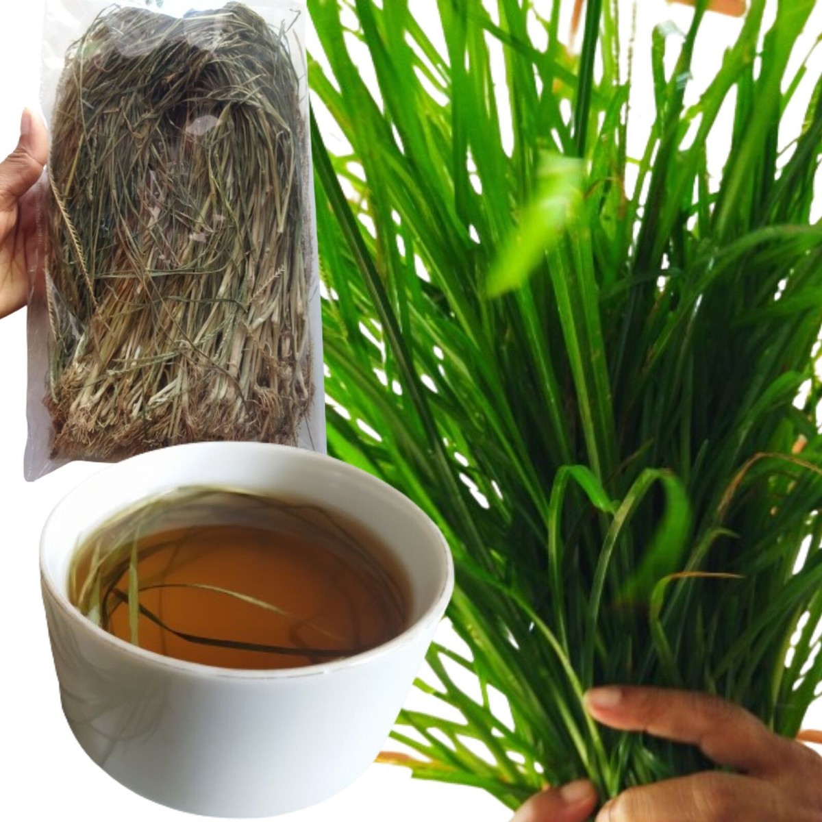 чай гъша трева