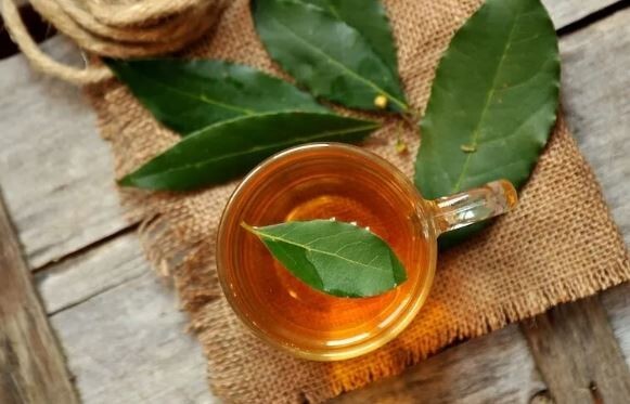 ползи дафинов лист