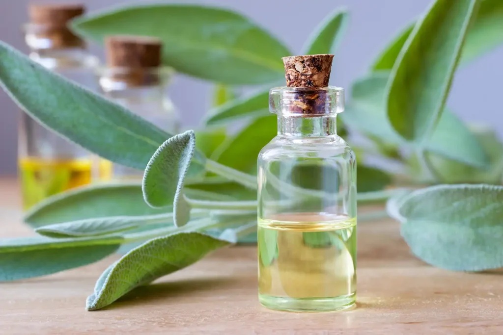 sage oil