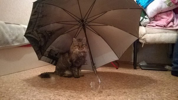 отворен чадър