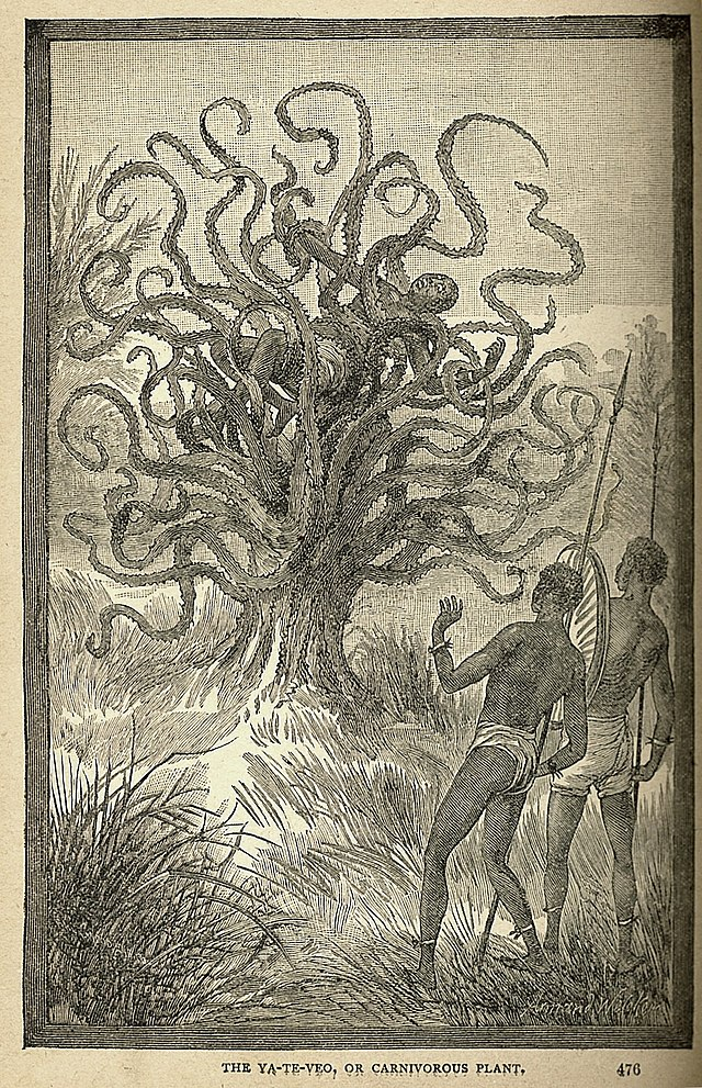 илюстрация дърво корении