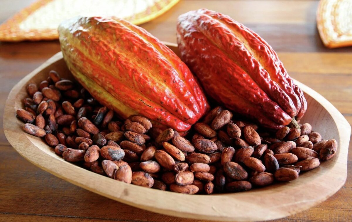 какаови зърна