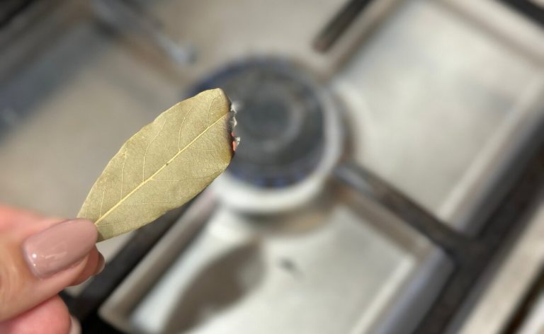 запален дафинов лист