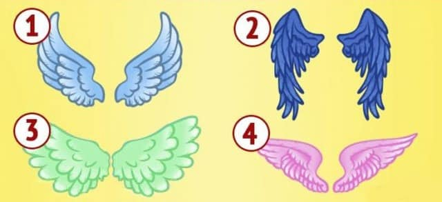 тест ангелски криле