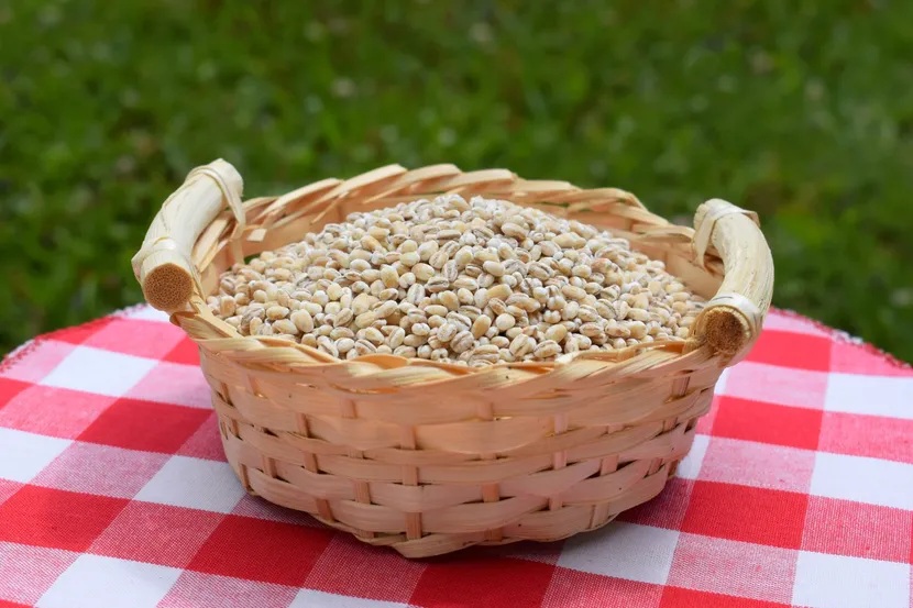 barley