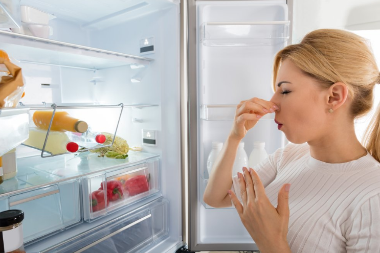  миризма в хладилника 