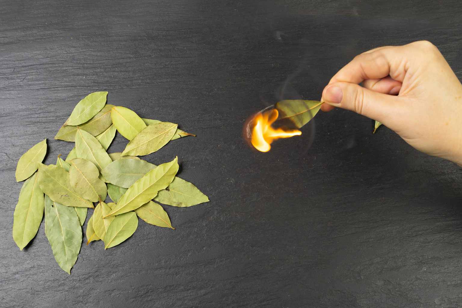 горене дафинов лист