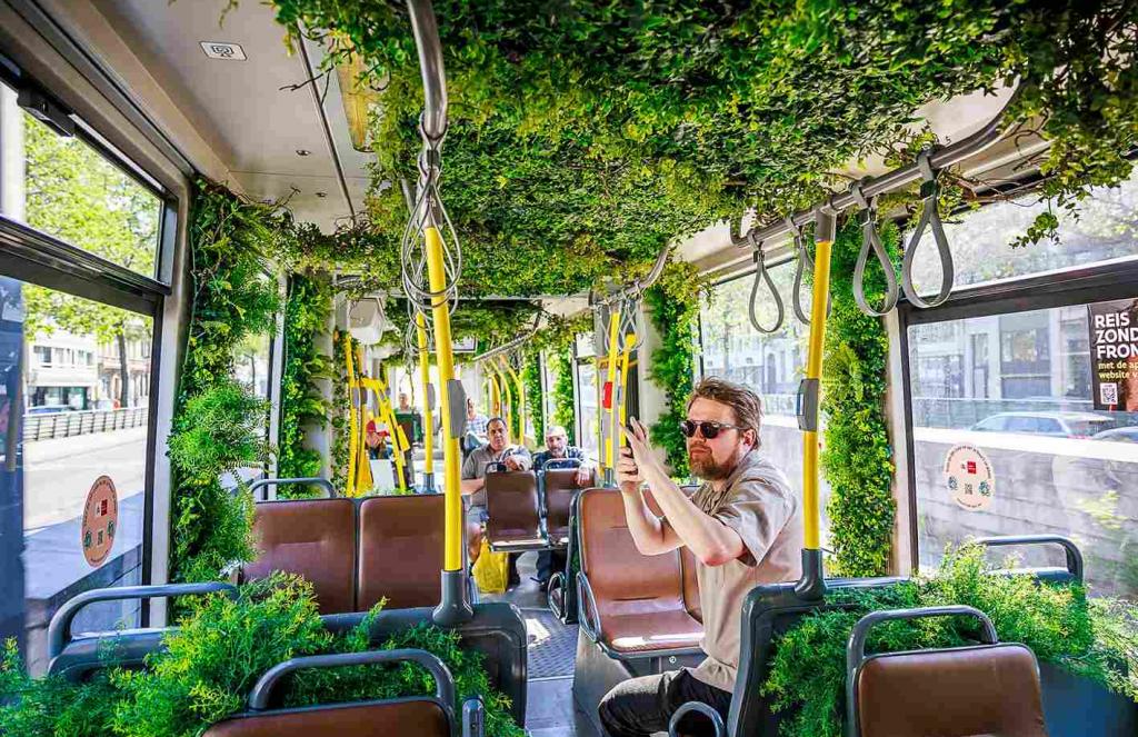 озеленен трамвай
