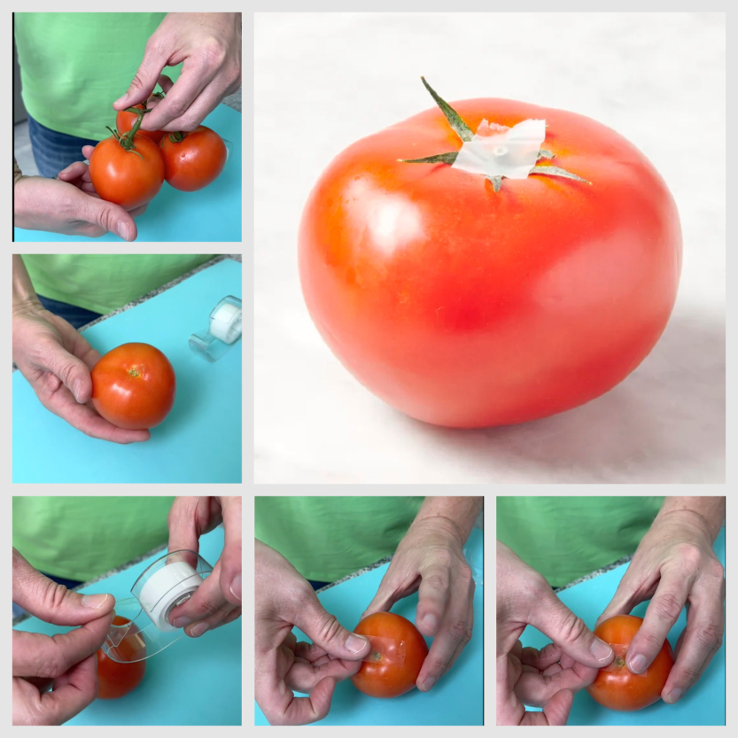 тиксо върху домата