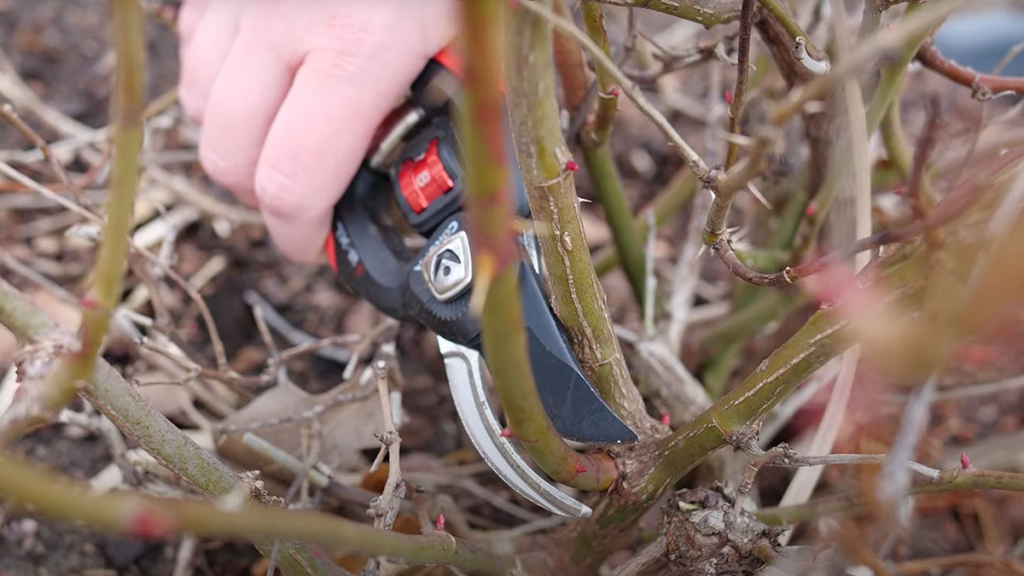 премахване пресичащи се клони