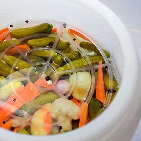 жива туршия