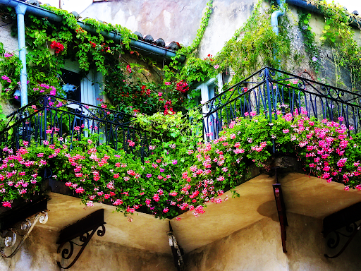 балкон в цветя