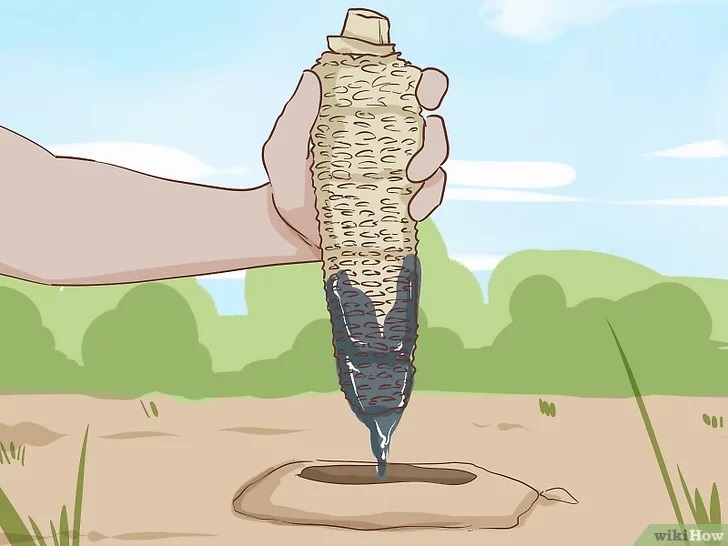 кочан в катран