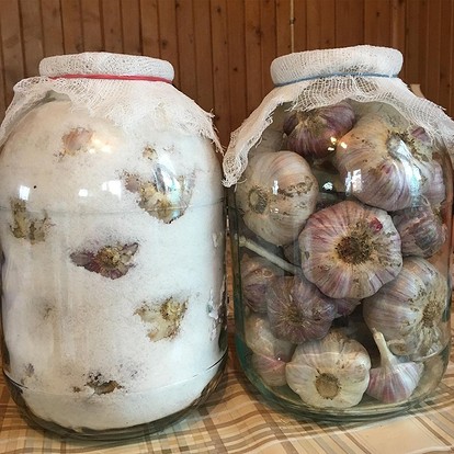 чесън в сол