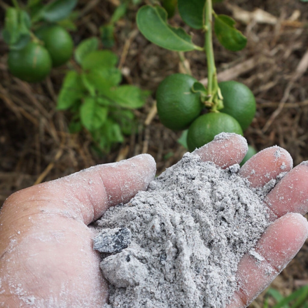 дървесна пепел