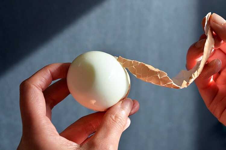 белене на яйце