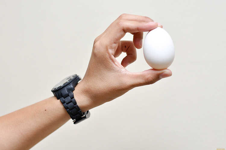 бяло яйце