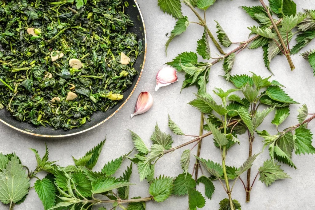 яхния от коприва