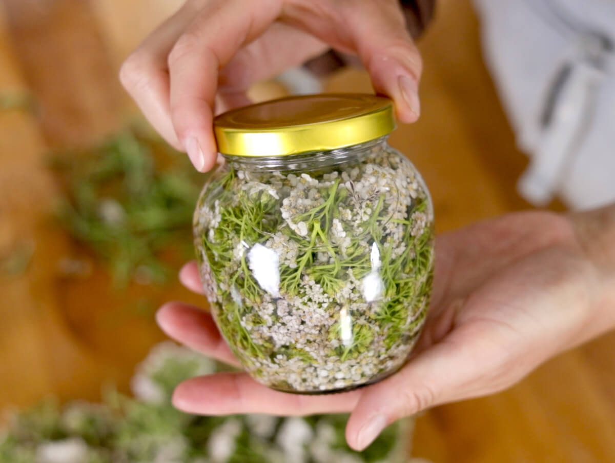 равнец в буркан