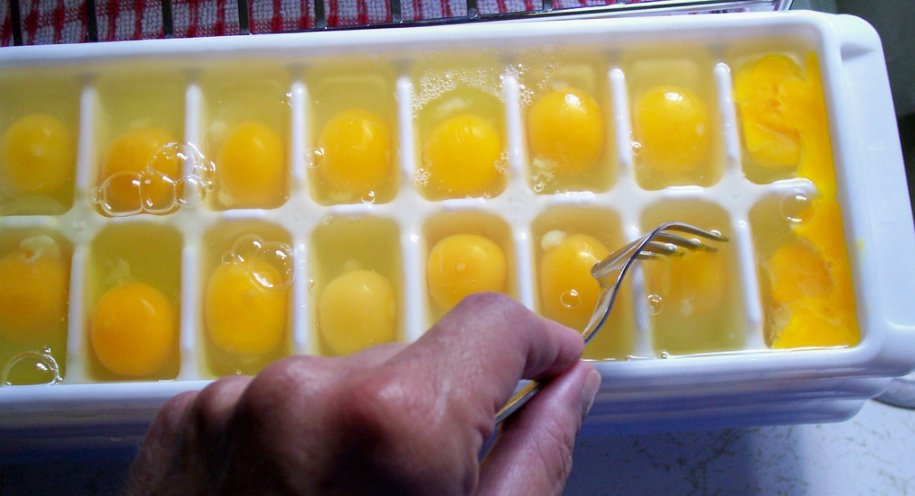 замразяване на яйца